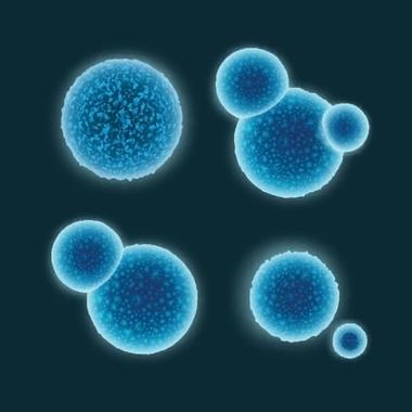 QU'EST-CE QU'UN PROBIOTIQUE?